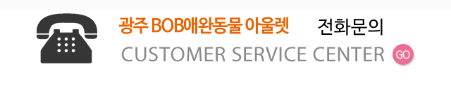 전화문의