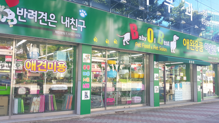 BOB애완동물아울렛